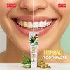 Herbal Toothpaste with Aloe Vera & Miswak & Tea Tree
