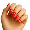 Pierre Cardin Paris Studio Nails