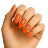 Pierre Cardin Paris Studio Nails