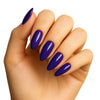 Pierre Cardin Paris Studio Nails