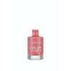 Color Up Nail Polish-338 Sugarcoat - Callista Beauty 