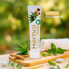 Pierre Cardin Paris Herbal Toothpaste with Aloe Vera & Miswak & Tea Tree
